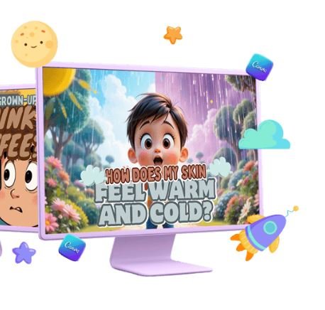 VidCurious V2 Review hero image